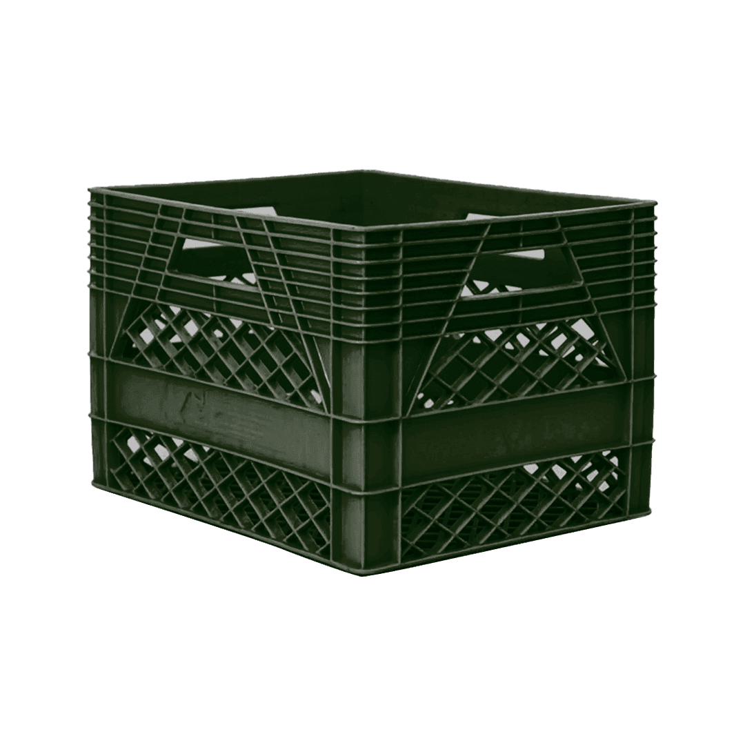 10 04 2024 06 15 48 811 VEU0079.004.png